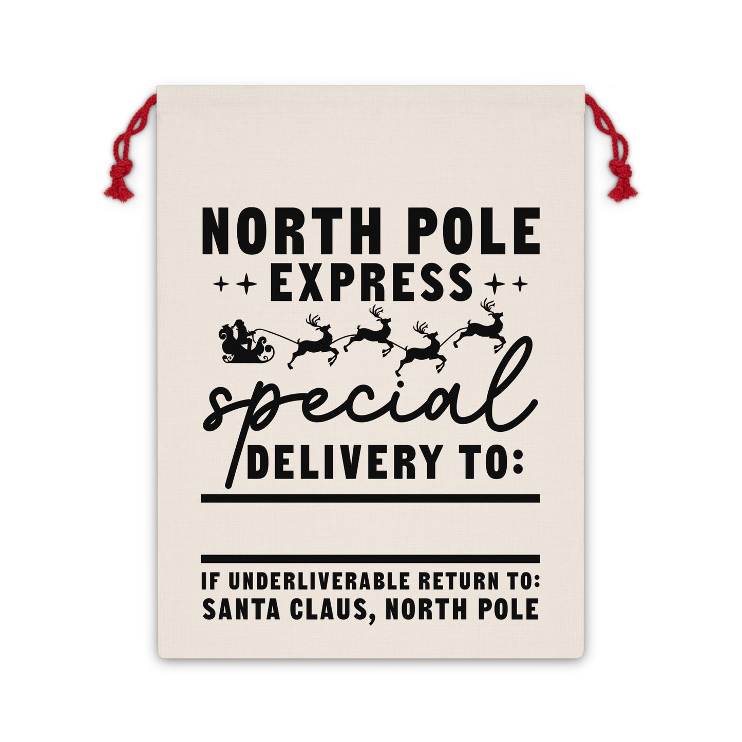 Gift Bag from SANTA SACK, North pole express special delivery to if undeliverable return to santa claus north pole