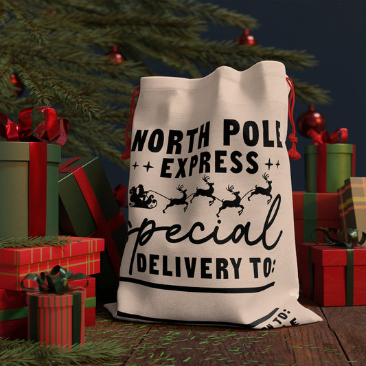 Gift Bag from SANTA SACK, North pole express special delivery to if undeliverable return to santa claus north pole