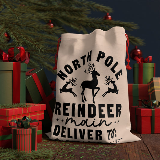 Gift Bag from SANTA SACK, North pole post office overnight express special delivery for inspected by elf